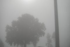 20230917-Z62_7654-Pano
