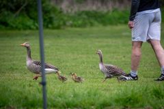 20240428_TKH_2024_Teil2-30