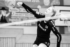 20241123_1BL_SVG_TSV-Wiemersdorf-20